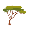 Un árbol africano