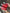 fallback text for a video